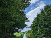 PXL_20230520_124400736