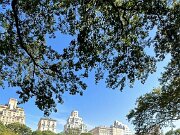 C59F506E-B56B-44B4-9F97-D143E5DE760B