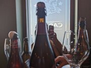 PXL_20231125_150537641