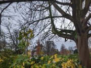 PXL_20231126_121426920